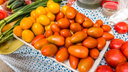 «Ещё утром росла в огороде»: новосибирцы распродают свои помидоры и огурцы на Avito