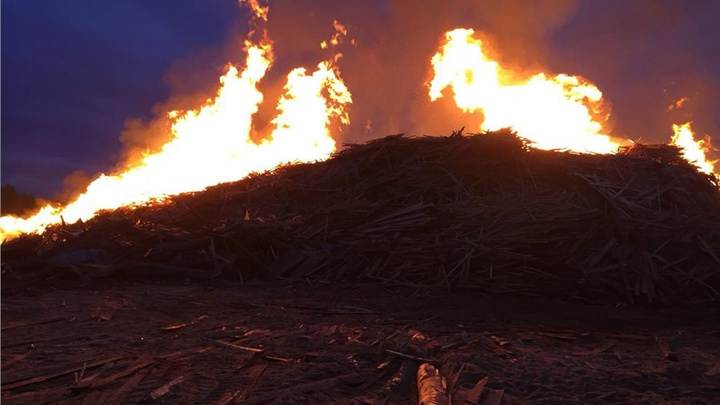 Стали заложниками: пожар на лесопилке выжег огромную площадь в метрах от поселка Таежный