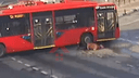 Даже не остановился: в центре Ярославля троллейбус сбил женщину. Видео