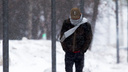 Зима не сдается: в выходные на Самарскую область обрушится метель