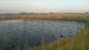 Городские власти назвали причину возникновения «черного озера» в поселке Чкалова