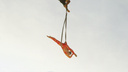 Новосибирец запустил в небо гимнастку — она показала трюки на высоте 300 метров