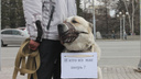 «Люди должны быть наказаны»: сотни новосибирцев вышли на митинг против убийства бездомных зверей