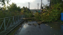 В деревне под Новосибирском ураган снёс крыши с нескольких домов и повалил деревья