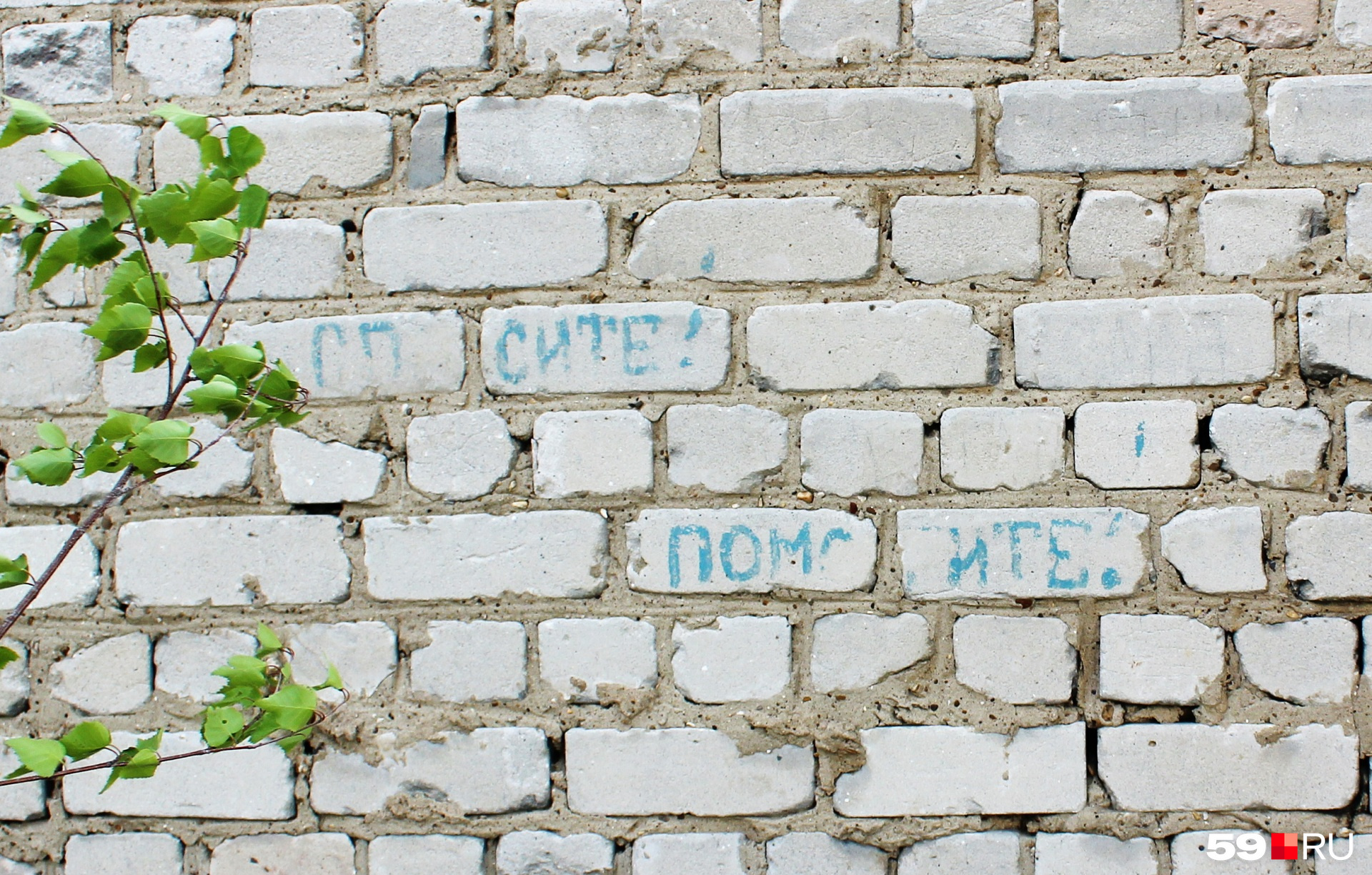 Похоже на записку самоубийцы. Что ж, место подходящее