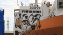 Голец, нерка, кета, горбуша: в Архангельск из Камчатки на «тигровом» судне доставили 2600 тонн рыбы