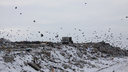 «Подушевого сбора не будет»: для городов Самарской области пересчитают тариф на вывоз мусора