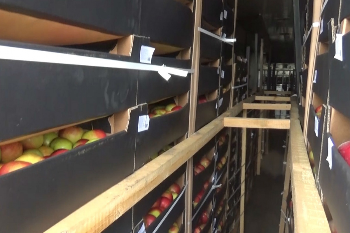 На Троицком таможенном посту задержали 214 тонн яблок стоимостью 16 миллионов рублей