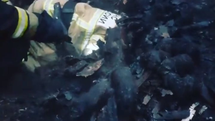 «В этом видео много прекрасного»: нижегородские пожарные спасли слепых щенков из горящего дома