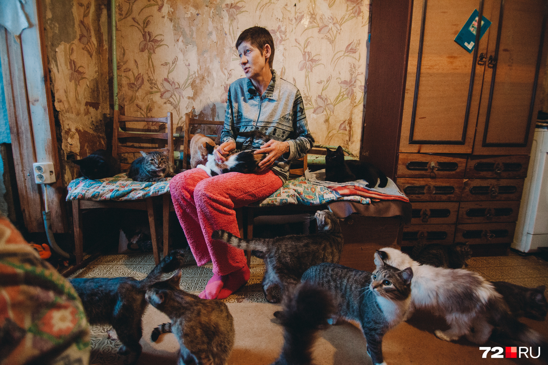 Марина Рейдаленко живет в небольшой комнате в пансионате, а вторую комнату снимает специально для кошек