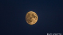 Впервые за пять лет: новосибирцев ждёт полное лунное затмение