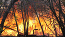 Экстренное предупреждение: под Новосибирском возможны крупные пожары