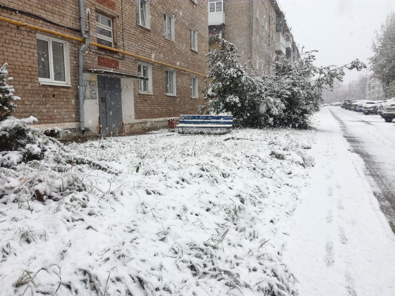 И снова Звездный И снова Звездный