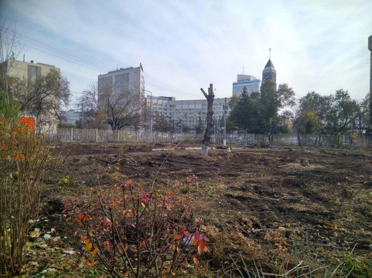 Остальные деревья заметно подрубили Остальные деревья заметно подрубили