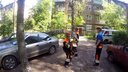 В Ярославле из-за ветра берёза рухнула на два автомобиля