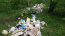 В Бугринской роще за день появилась свалка строительного мусора