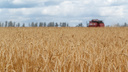 Аграрии Самарской области намолотили более 1,5 миллиона тонн зерна