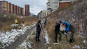 Активисты высадили сосновую рощу возле речки в Заельцовском районе