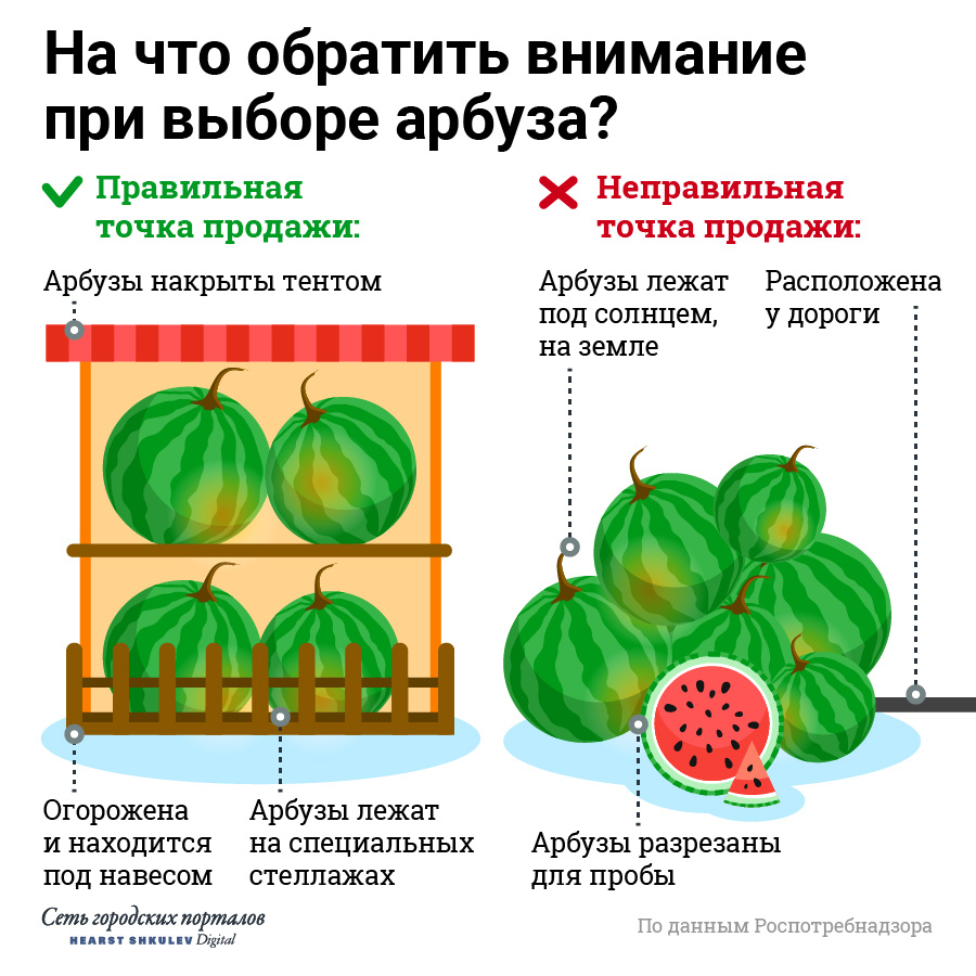 Как выбрать спелый арбуз презентация