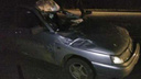 В Ярославской области лось пробил лобовое стекло машины: пострадали молодые мужчины