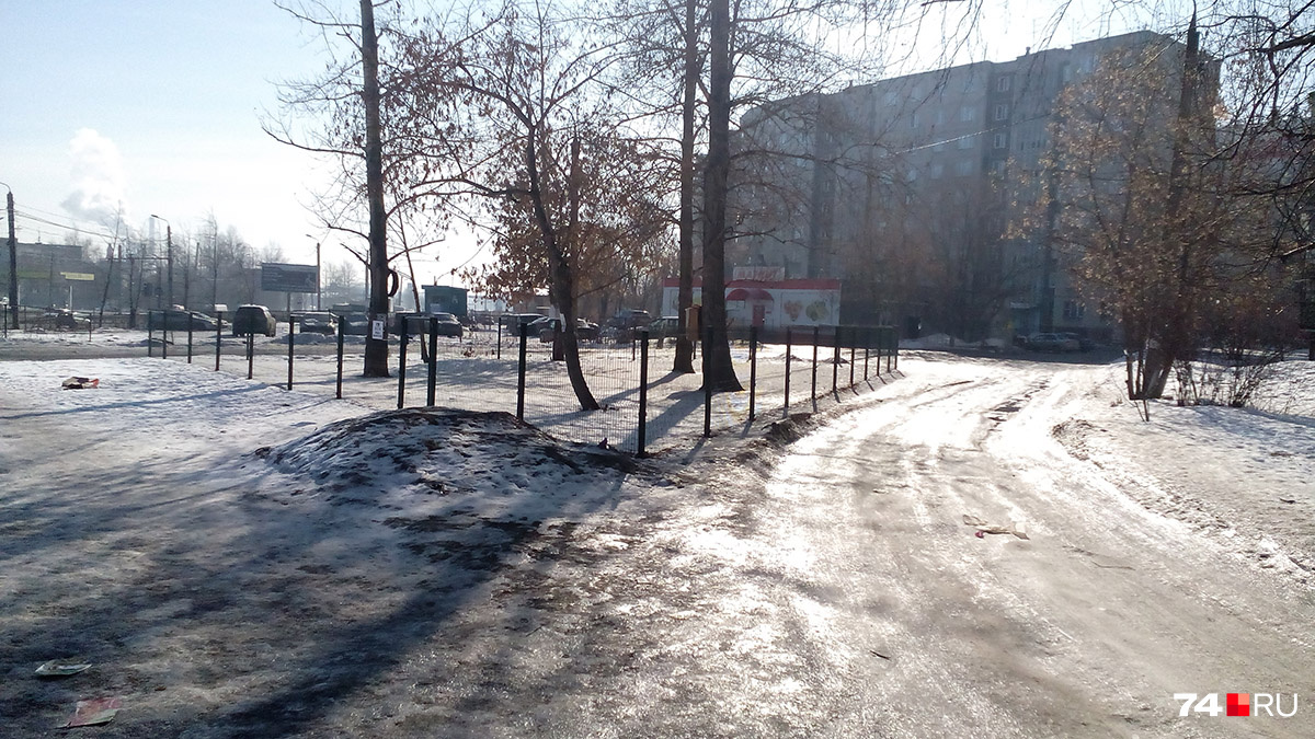 В Ленинском районе жители своими силами организовали площадку, где гуляют с животными В Ленинском районе жители своими силами организовали площадку, где гуляют с животными