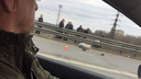 Тело накрыли тряпкой: в Ярославле на Окружной дороге разбился мотоциклист