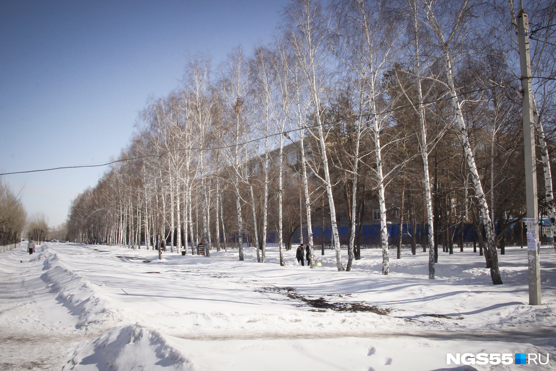 Погода пос чкаловский