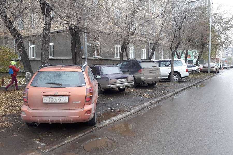 Жаль, что на деревьях не гнездятся голуби — возможно, они бы отпугнули нерадивых водителей Жаль, что на деревьях не гнездятся голуби — возможно, они бы отпугнули нерадивых водителей