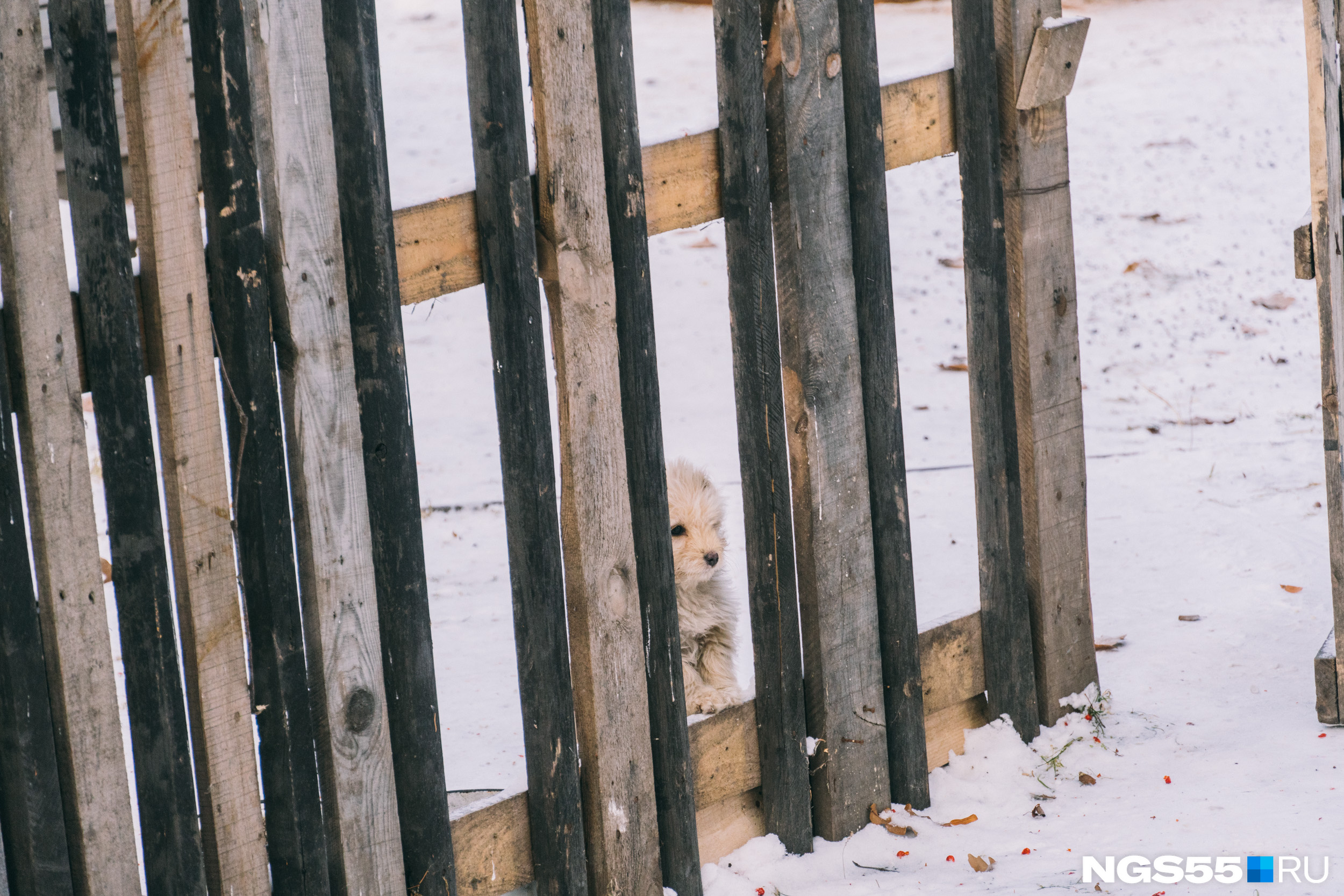 нет электричества омск сейчас