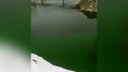 «Это большая проблема»: река Миасс возле стройки конгресс-холла окрасилась в кислотно-зелёный цвет