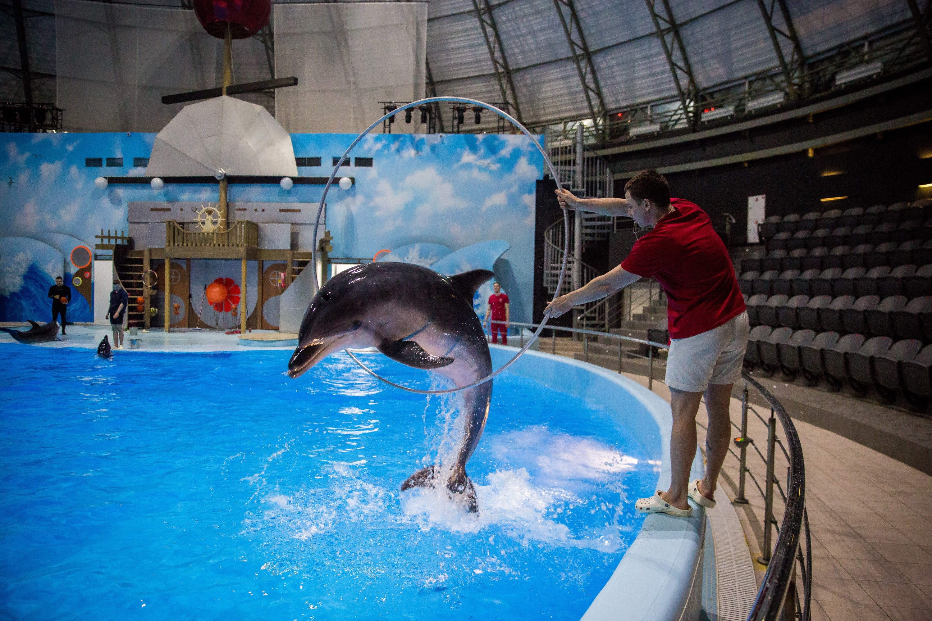 Среди новых элементов, которые на тренировке демонстрировали дельфины, был прыжок через кольцо