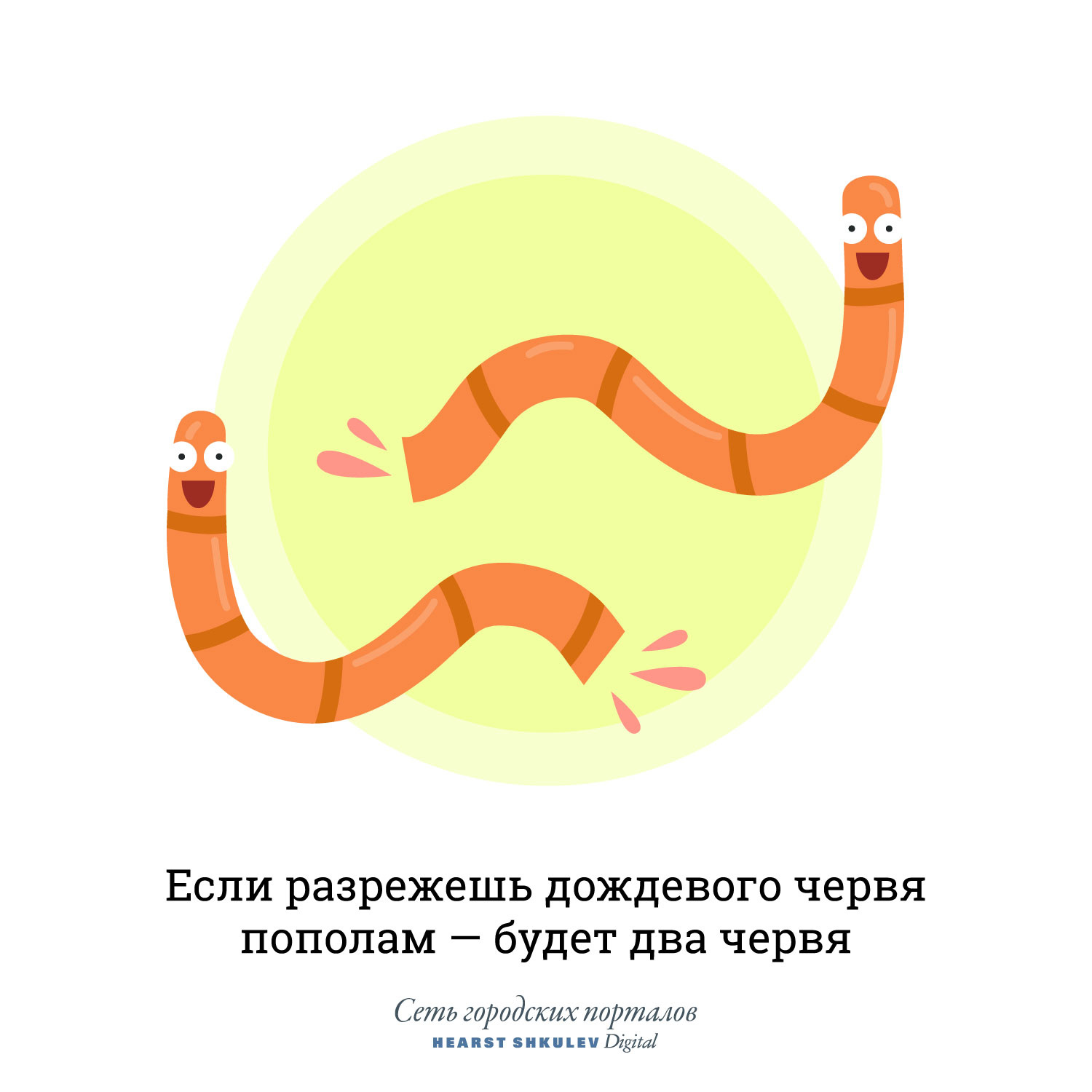Лучше, конечно, не рисковать и не резать червей Лучше, конечно, не рисковать и не резать червей