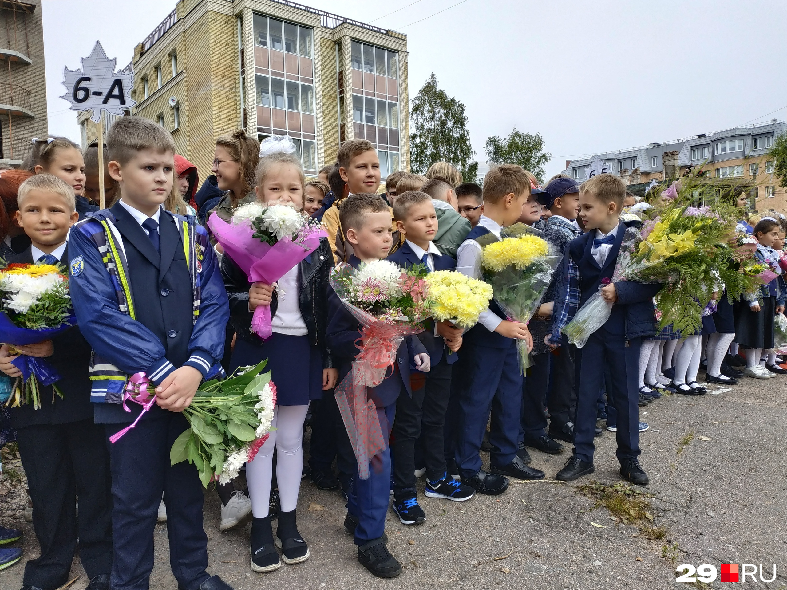 Правда красивые цветы? Правда красивые цветы?