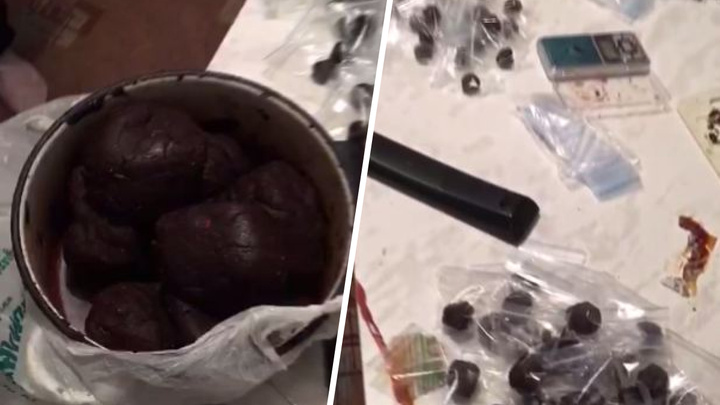 Видео: в квартире молодого красноярца нашли наркотики всех видов на 3 млн рублей