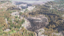 Курганцу, по чьей вине в мае сгорело 20,6 гектара леса, вынесли приговор