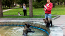 В фонтане Нарымского сквера заметили трёх медвежат