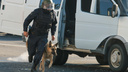 На покупку собак для полиции Ростовской области потратят 845 тысяч рублей