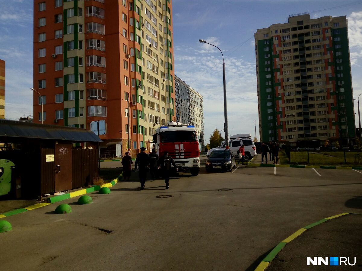 Подъезды проверяют собакой Подъезды проверяют собакой