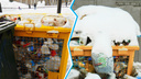 Вторая часть мусорного коллапса в Новосибирске: раздельные отходы тоже перестали вывозить
