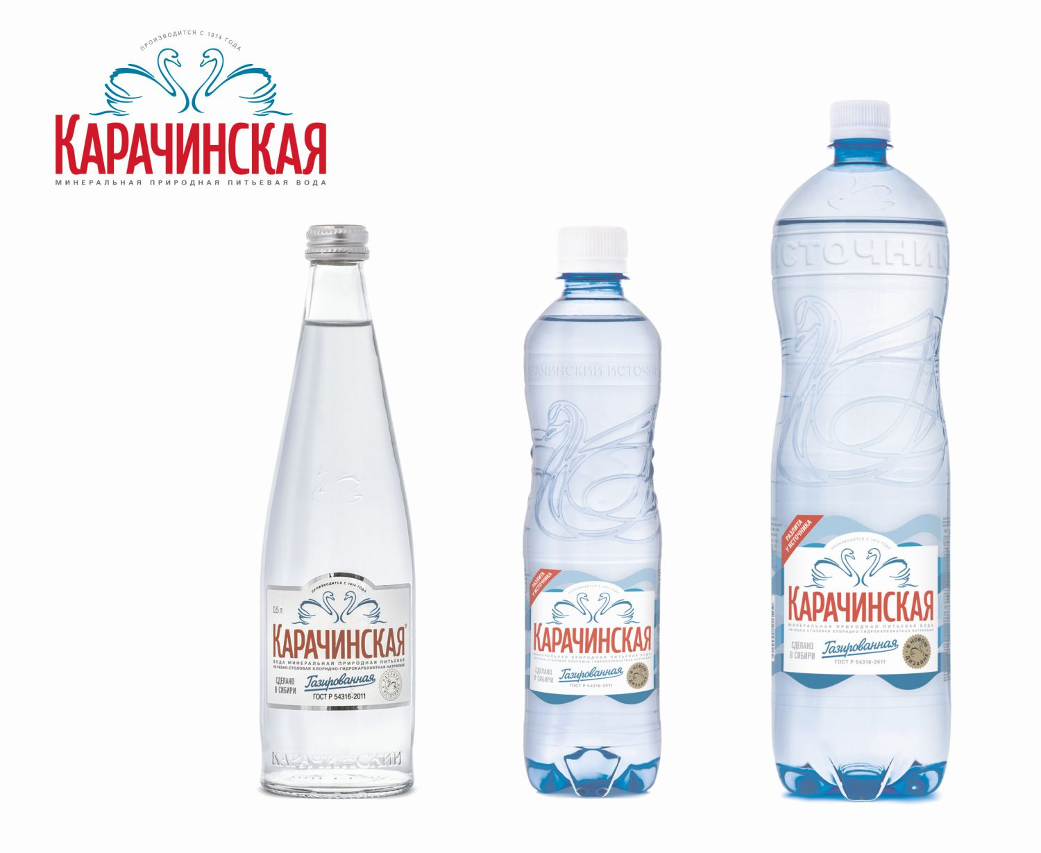 Новосибирцы Не Узнали Воду С Лебедями: Легендарная «Карачинская.
