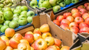 В Самаре заблокируют сайты по продаже фруктов, овощей и мяса из Польши и Испании