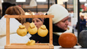 Сырные головы от 700 рублей за кг: как прошел фестиваль «Самарский пармезан»