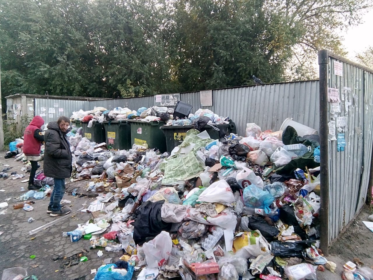 На проспекте Победы, 155 последний раз мусор вывозили 27 сентября