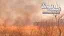 Неподалеку от Батайска вспыхнул ландшафтный пожар
