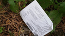 «Почта России» потеряла письма в лесу — их нашли местные жители