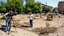 Новосибирцы высадили деревья на скандальной стройке бизнес-центра на Советской