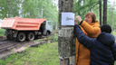Сергей и Регина, живите: в парке на Галушина активисты дали имена деревьям, которые хотят вырубить