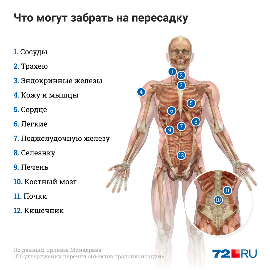 Забрали органы. Трансплантация органов после смерти. Сайт где можно отдать людей на органы.