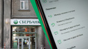 Деньги таяли на глазах: в Челябинске осудили экс-сотрудницу Сбербанка за кражи у своих клиентов