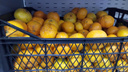 Берите Абхазию: ростовский Россельхознадзор рассказал, как правильно выбрать мандарины